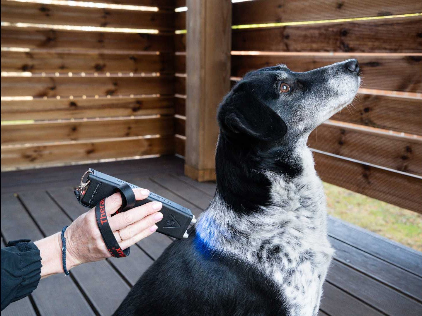 Uus teenus: laserteraapia